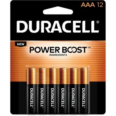 Duracell Coppertop Alkaline AAA Battery - MN2400